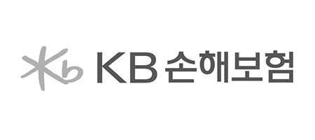 KB손해보험